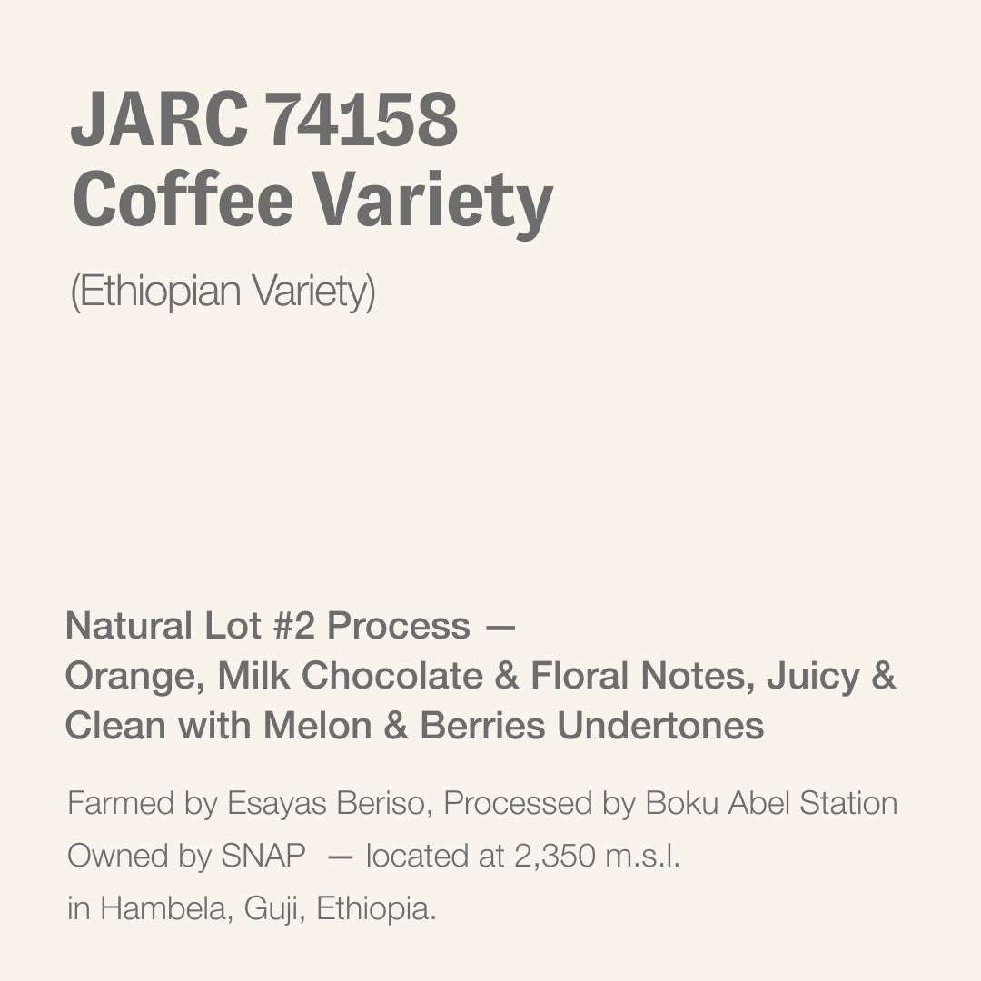 JARC 74158 (Ethiopian coffee variety), Esayas Beriso, Boku, Hambela, Guji, Ethiopia Ethiopia