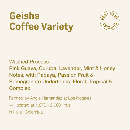 Geisha coffee variety, Angie Hernandez, Colombia