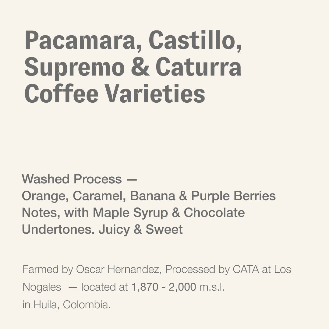 Pacamara, Castillo, Supremo & Caturra coffee varieties, Oscar Hernadez & CATA, Colombia