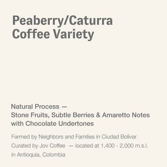 Peaberry Caturra, Jov Coffee, Colombia