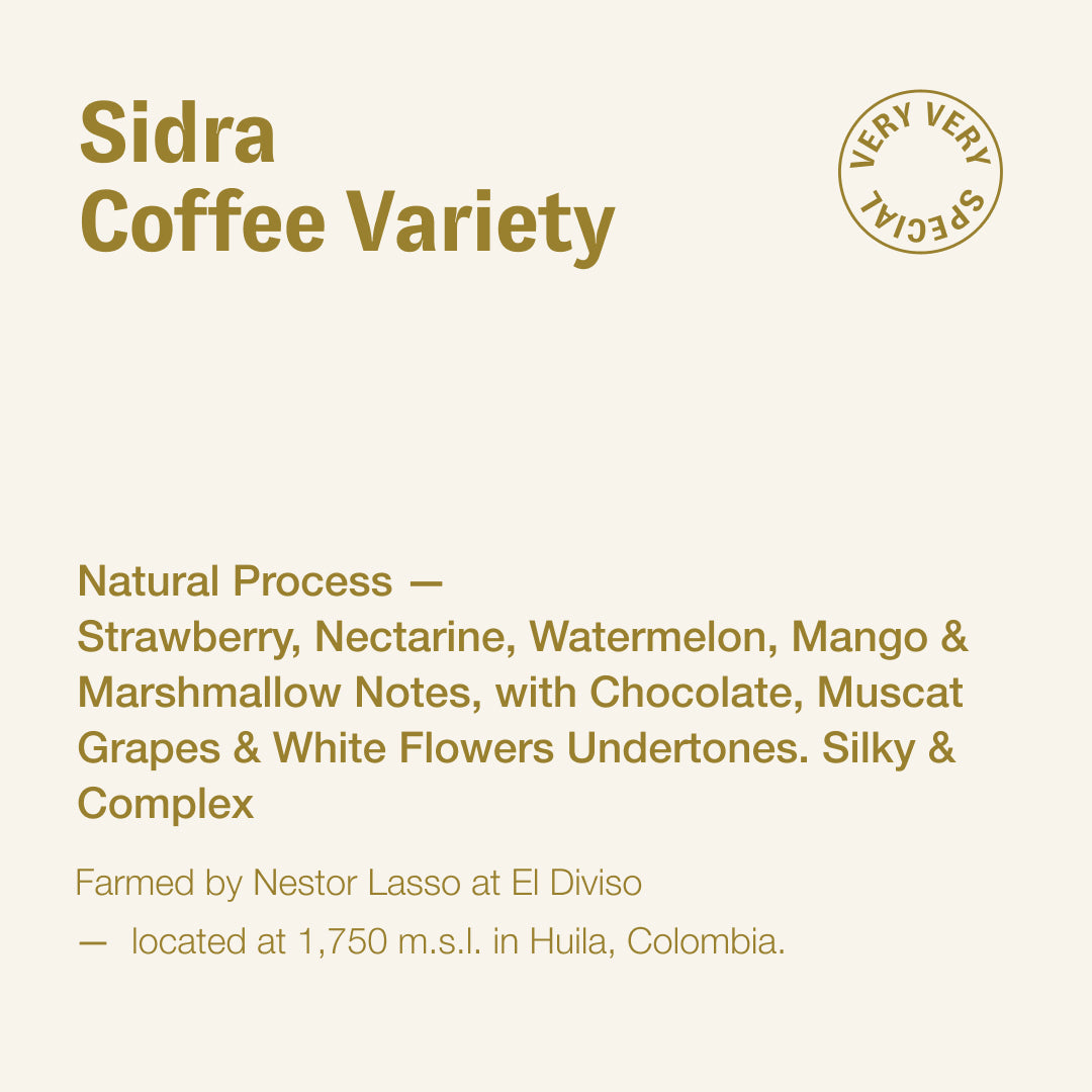 Sidra coffee variety, Nestor Lasso, Colombia