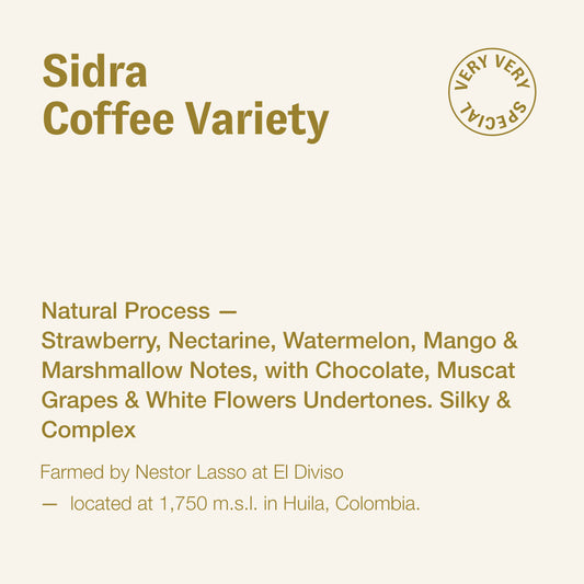 Sidra coffee variety, Nestor Lasso, Colombia