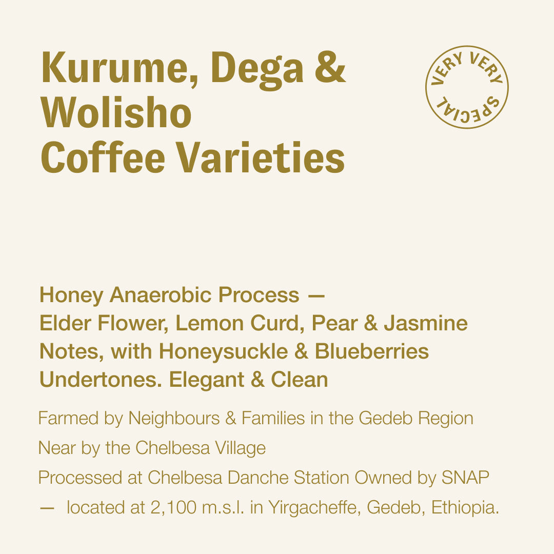 Kurume, Dega & Wolisho Coffee Varieties, Yirgacheffe, Gedeb, Ethiopia