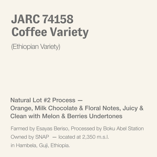 JARC 74158 (Ethiopian coffee variety), Esayas Beriso, Boku, Hambela, Guji, Ethiopia Ethiopia