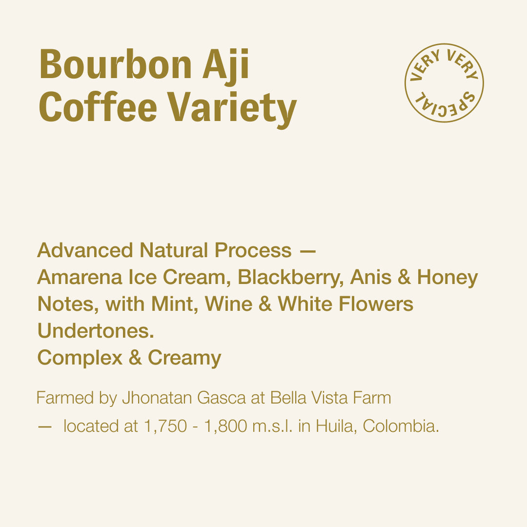 Bourbon Aji coffee variety, Jhonatan Gasca, Colombia