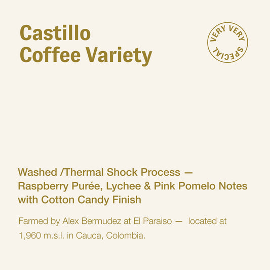 Castillo, Alex Bermudez, Colombia