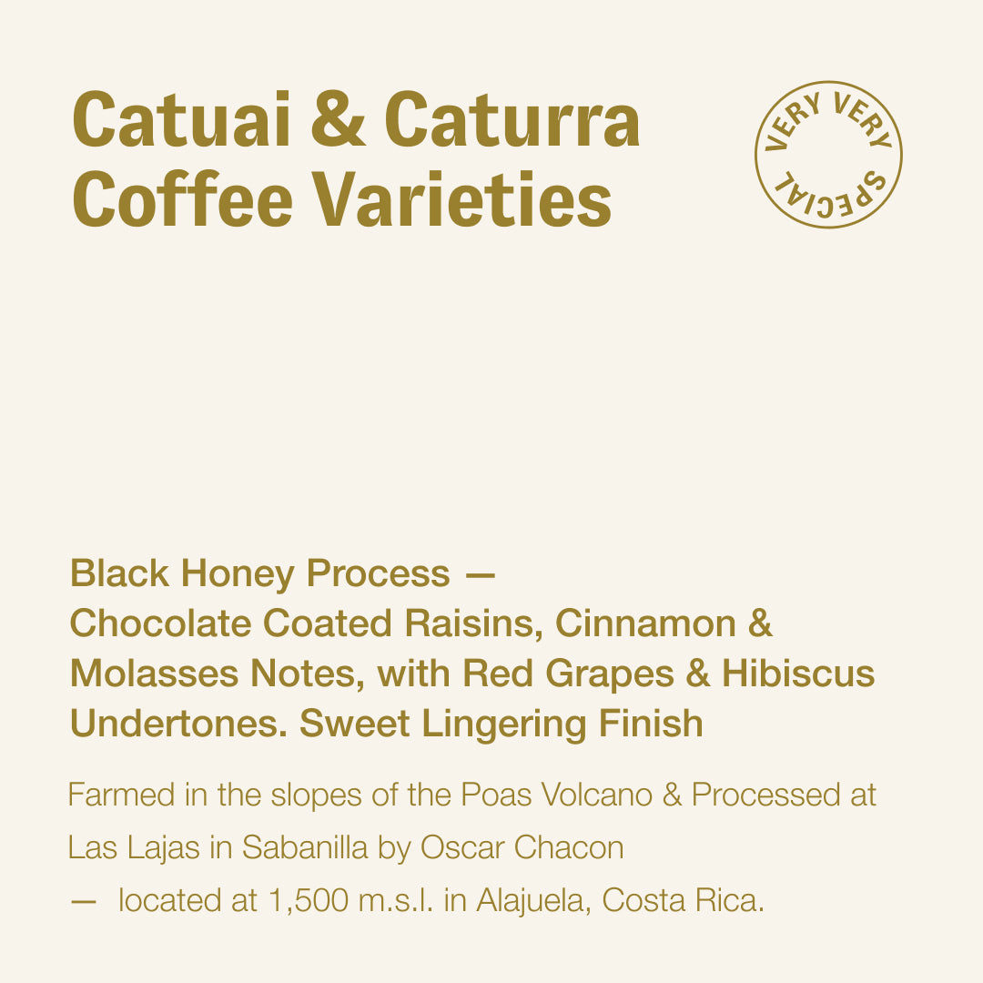 Catuai & Caturra Coffee Varieties, Oscar Chacon, Costa Rica