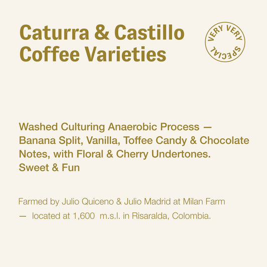 Caturra & Castillo coffee varieties, Julio Quiceno & Julio Madrid, Colombia