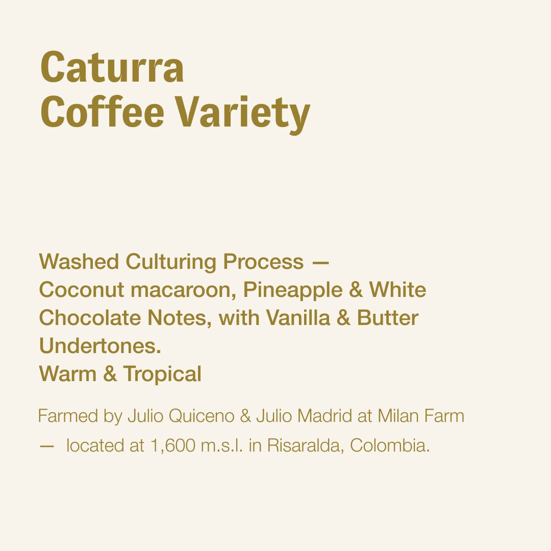 Caturra, Julio Quiceno & Julio Madrid, Colombia