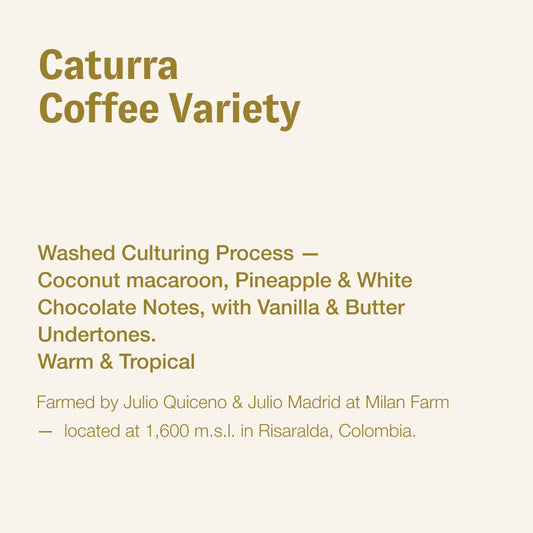 Caturra, Julio Quiceno & Julio Madrid, Colombia