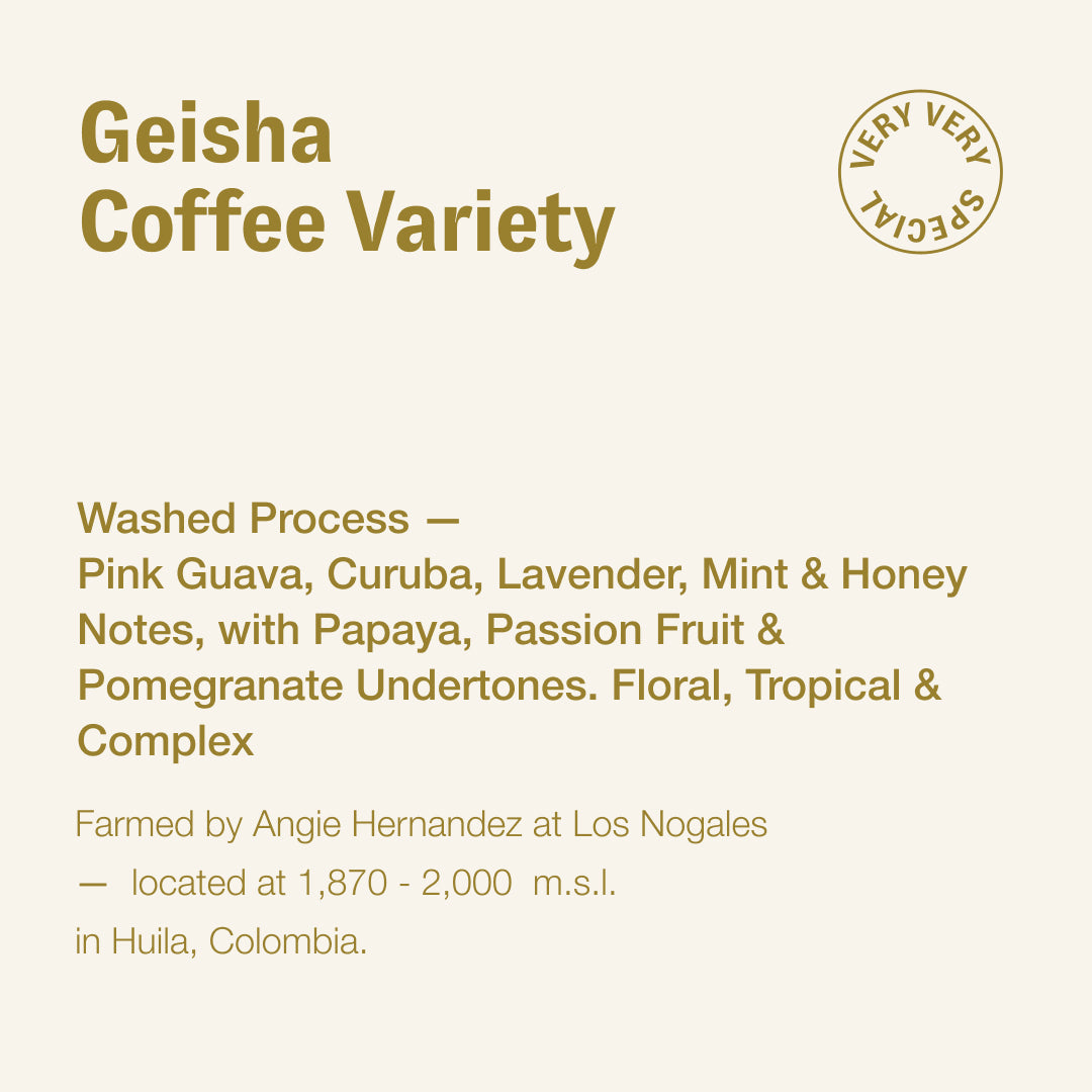 Geisha coffee variety, Angie Hernandez, Colombia