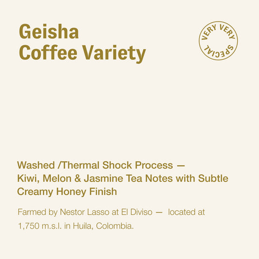 Geisha, Nestor Lasso, Colombia