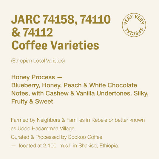 JARC 74158, 74110 & 74112 coffee varieties (Ethiopian Local Varieties), Shakiso, Ethiopia