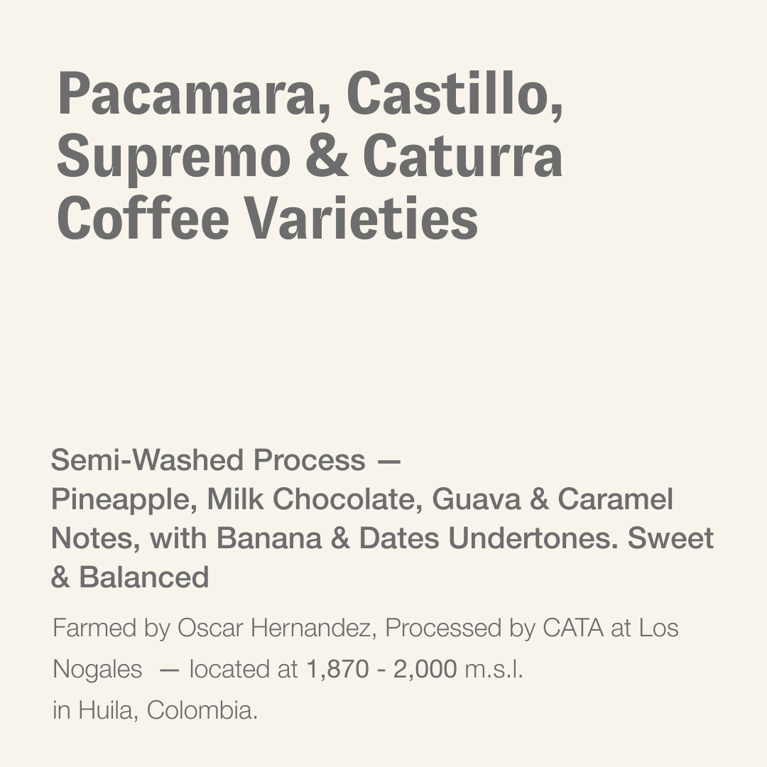 Pacamara, Castillo, Supremo & Caturra Coffee Varieties, Oscar Hernadez & CATA, Colombia