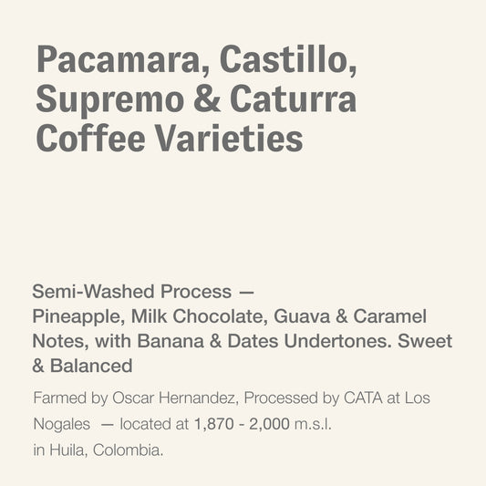 Pacamara, Castillo, Supremo & Caturra Coffee Varieties, Oscar Hernadez & CATA, Colombia