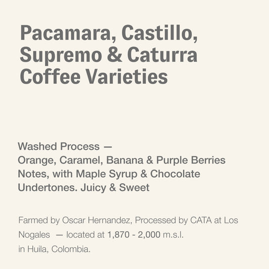 Pacamara, Castillo, Supremo & Caturra coffee varieties, Oscar Hernadez & CATA, Colombia