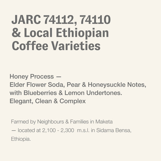 JARC 74112, 74110 & local Ethiopian coffee varieties, Sidama Bensa, Ethiopia