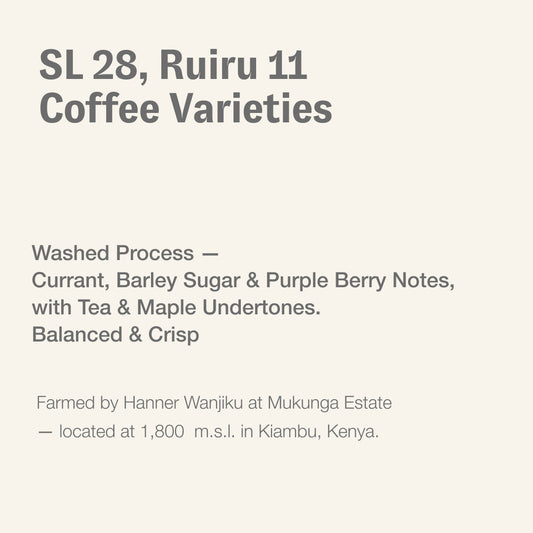 SL 28, Ruiru 11 coffee varieties, Mukunga Estate, Kenya