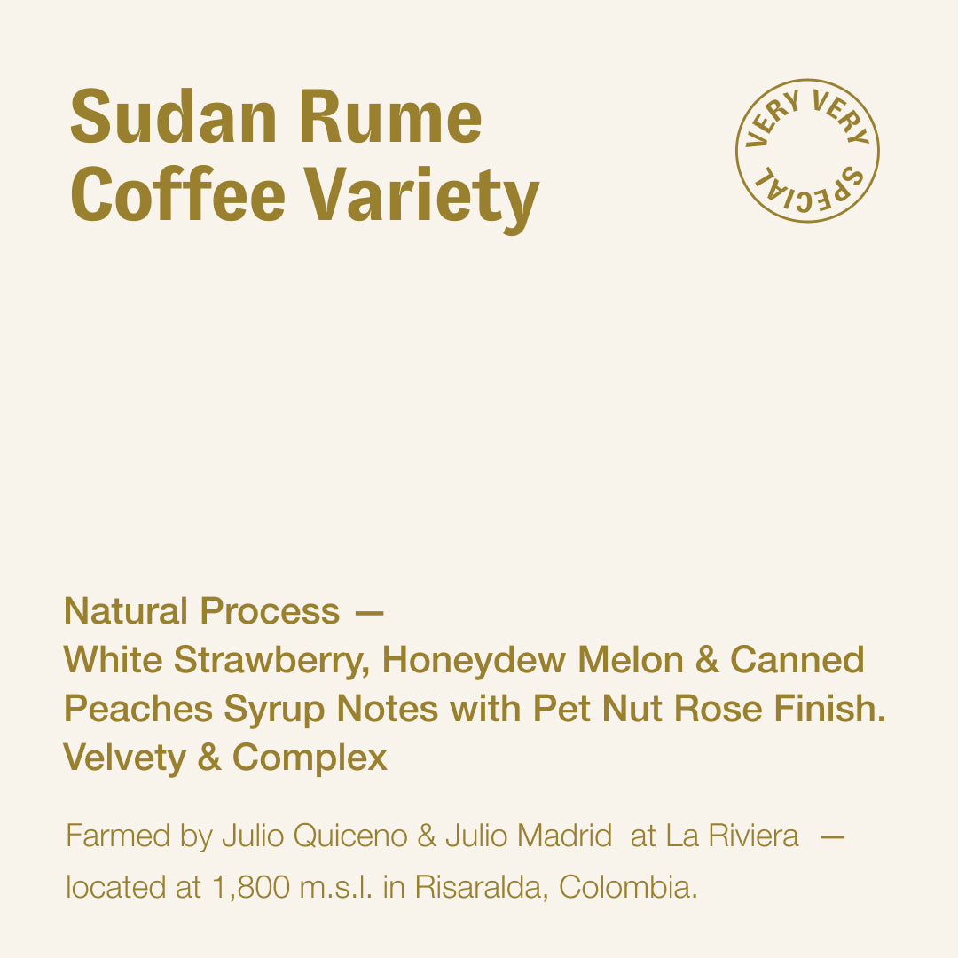 Sudan Rume, Julio Quiceno & Julio Madrid, Colombia