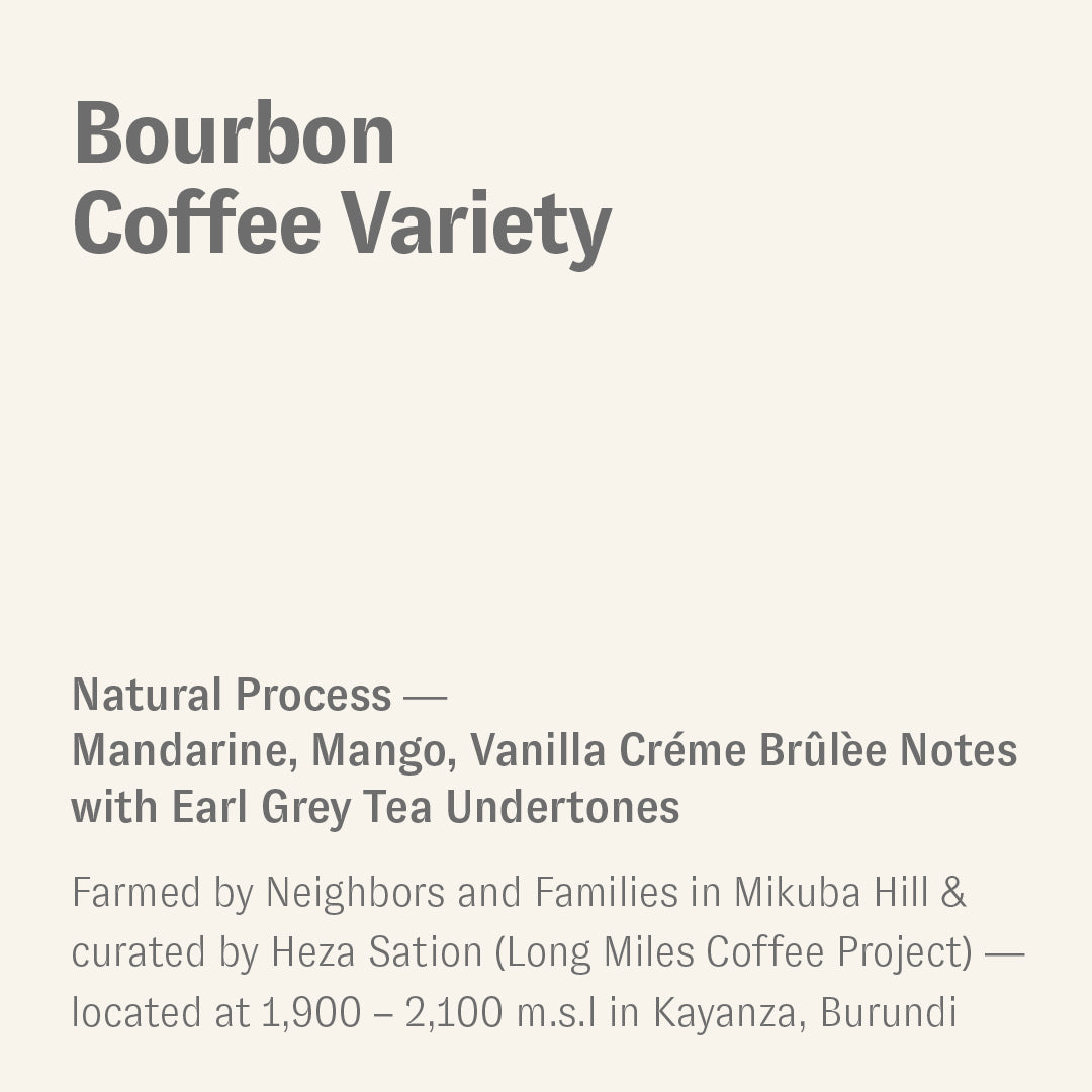 Bourbon, Long Miles Coffee, Burundi