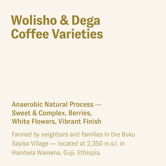 Wolisho & Dega, Buku Sayisa, Ethiopia