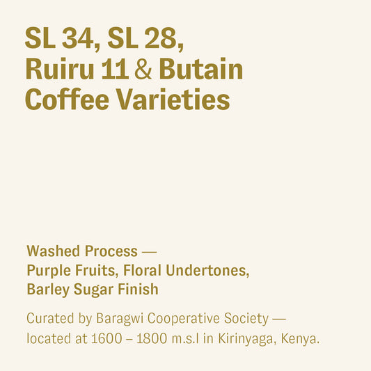 SL 34, SL28, Ruiru 11 & Batian, Kenya