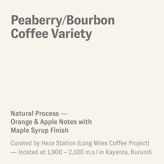 Peaberry Bourbon, Long Miles Coffee, Burundi