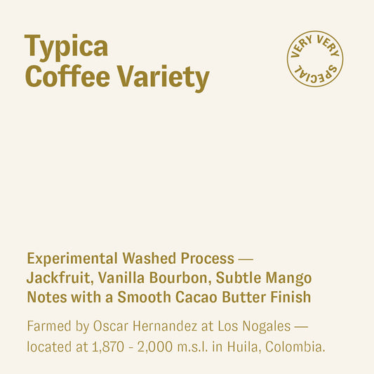 Typica, Oscar Hernandez, Colombia